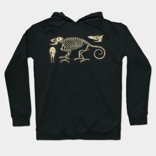 Chameleon Skeleton Anatomy Vintage Science Hoodie